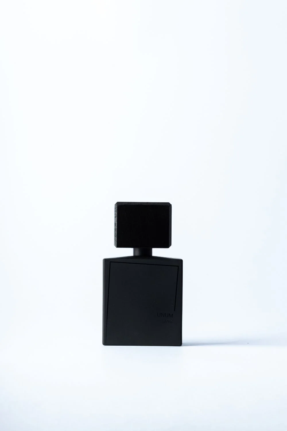 LAVS