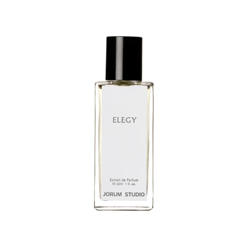 Elegy