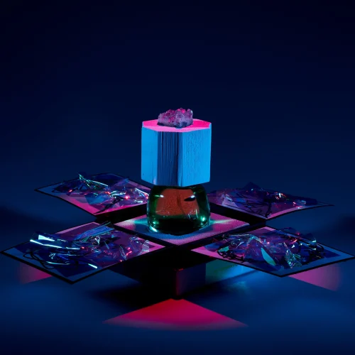 LUX VISIONARIA