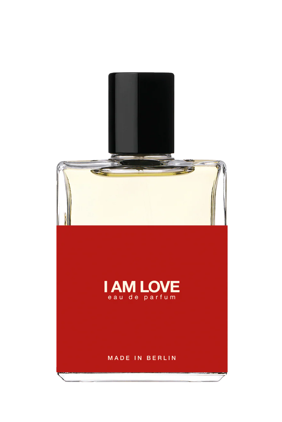 I AM LOVE