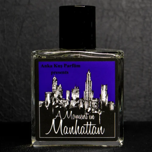 A MOMENT IN MANHATTAN