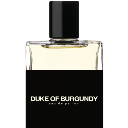DUKE OF BURGUNDY