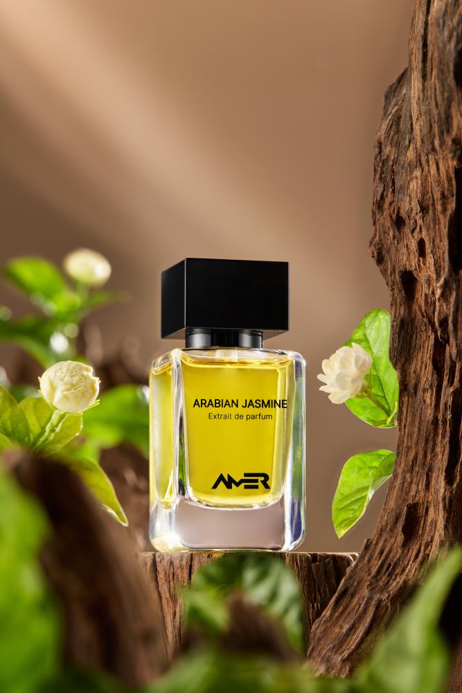 Arabian Jasmine - Image 2