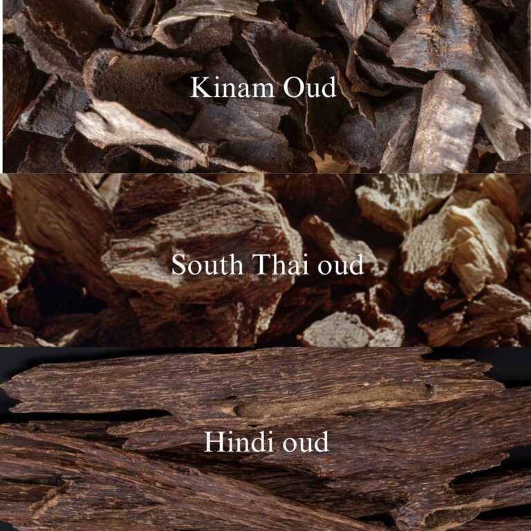Oud Indochine - Image 2