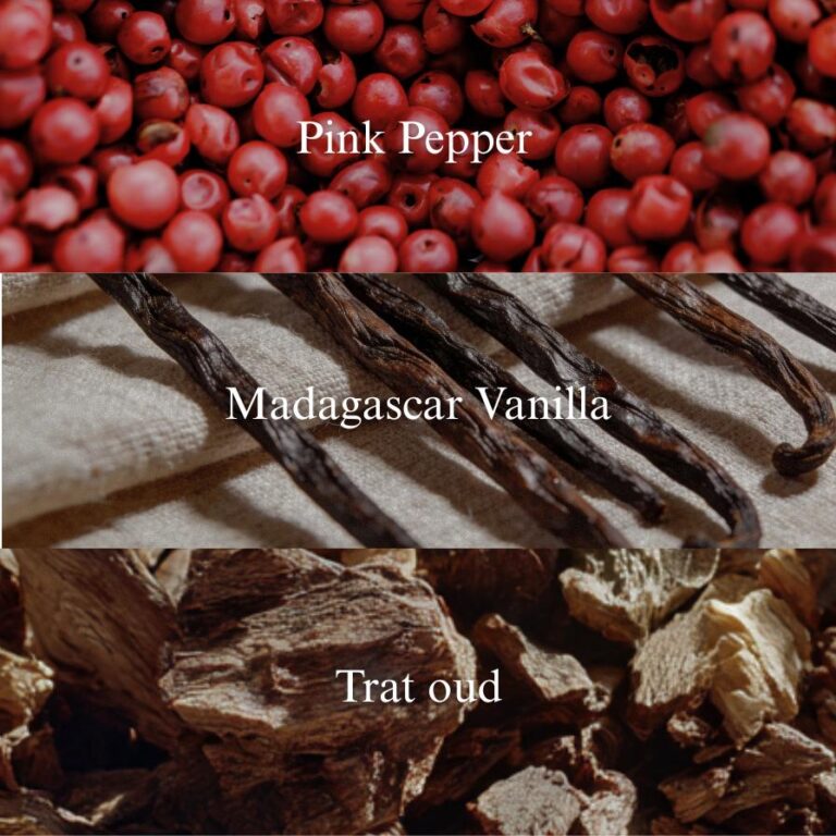 Vanilla Oud - Image 2